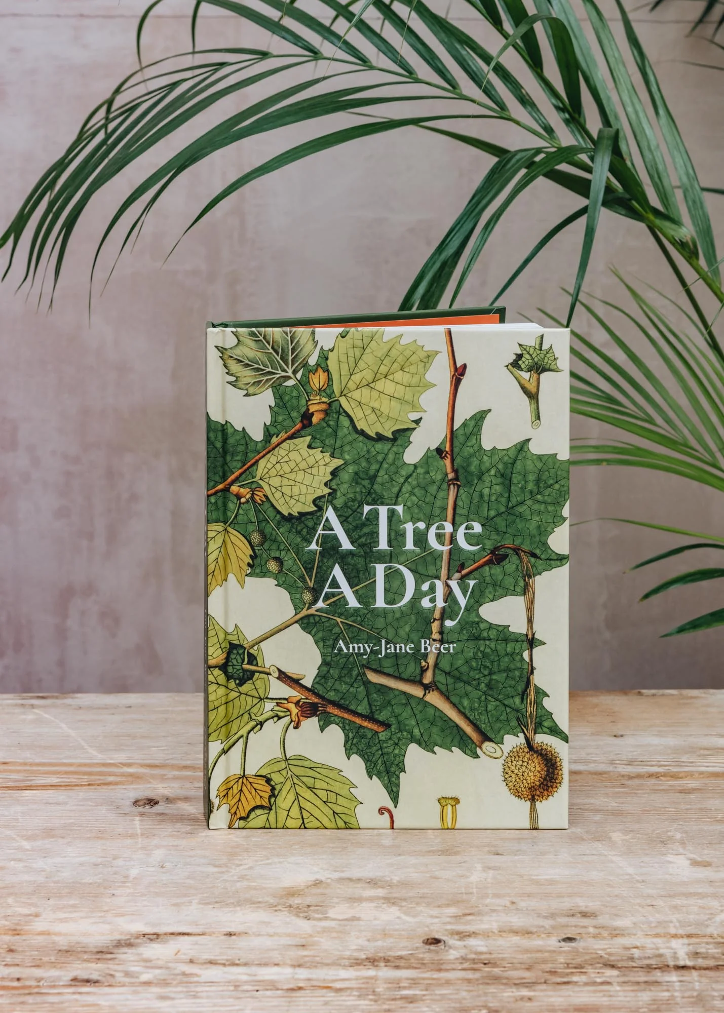 A Tree A Day