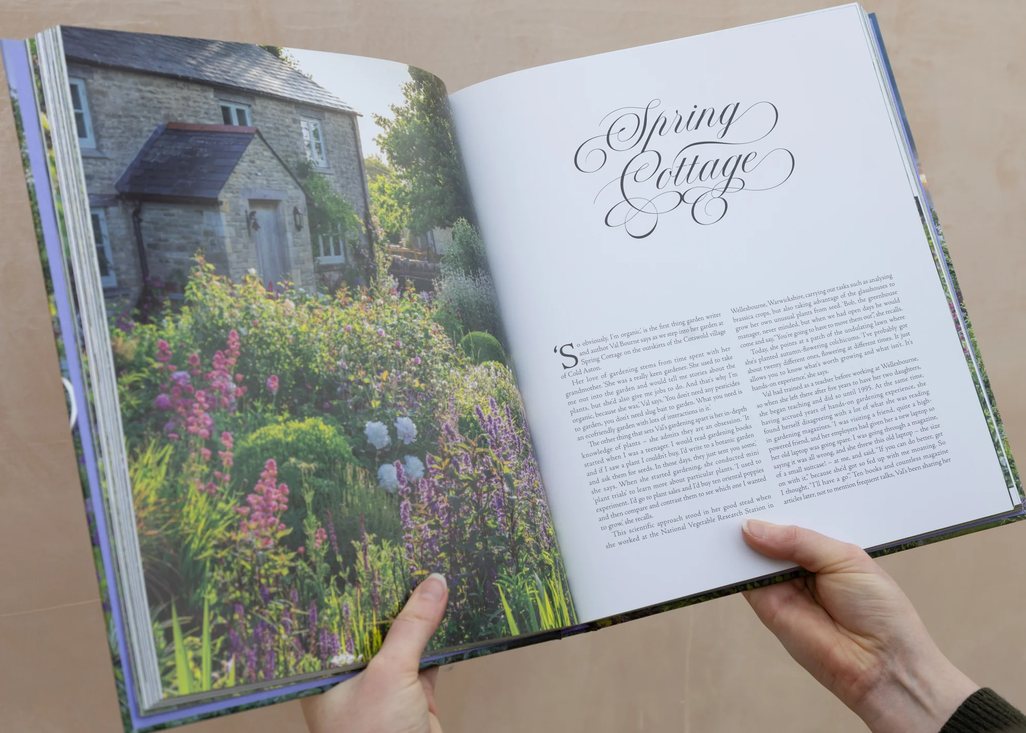 Beauty and Abundance: British Cottage Gardens - Image 2