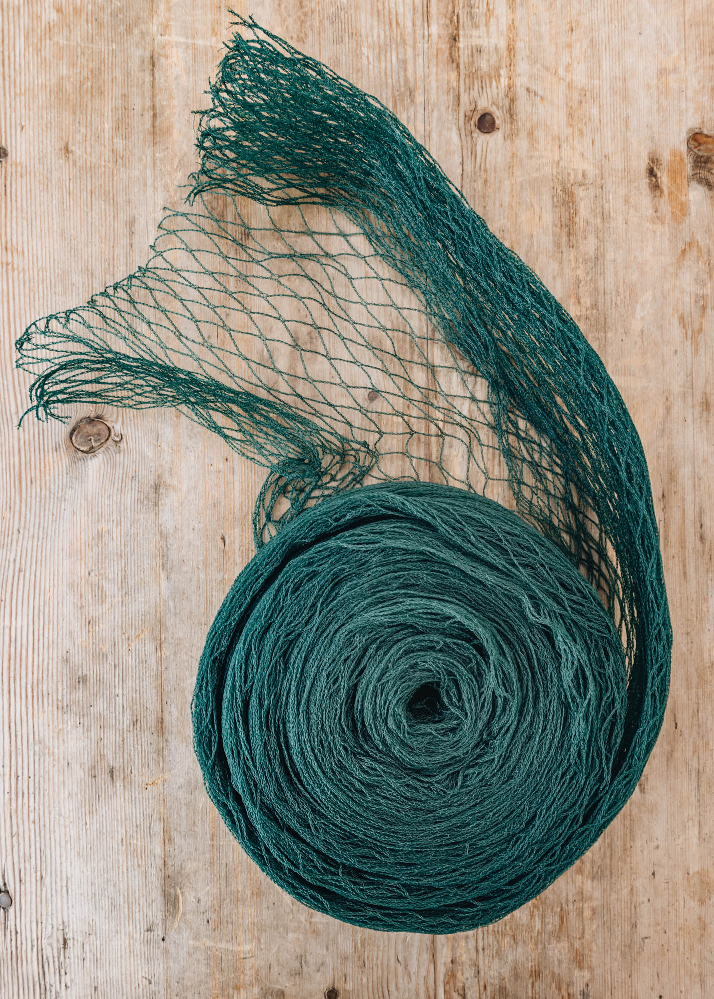 Protective Netting in Green, Birds (5m x 2m) - Image 2