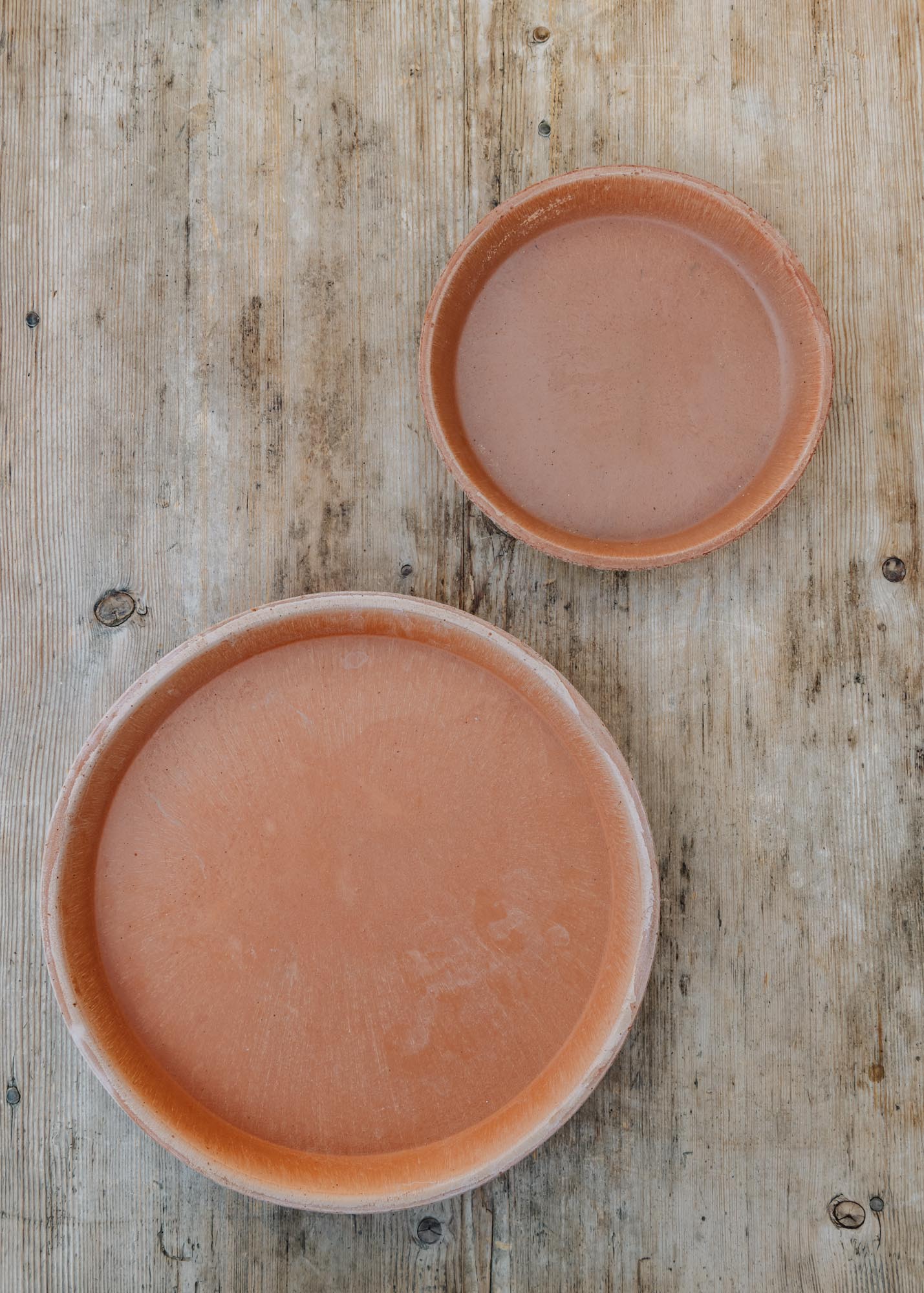 Rosa Low Saucers