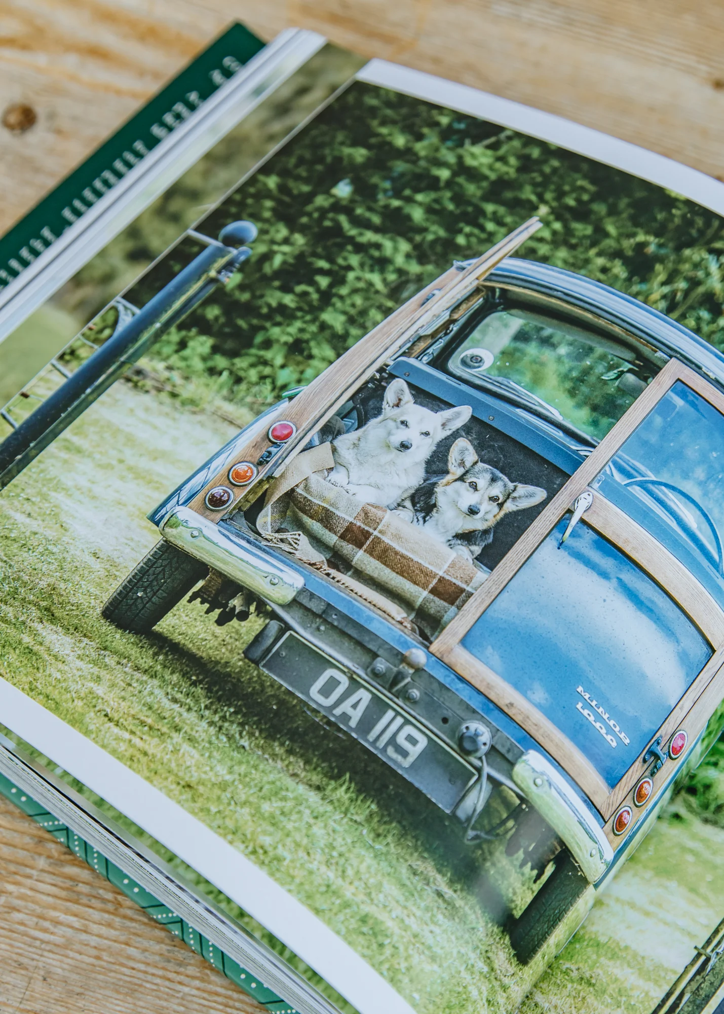 Country Life's Book of Dogs - Image 3