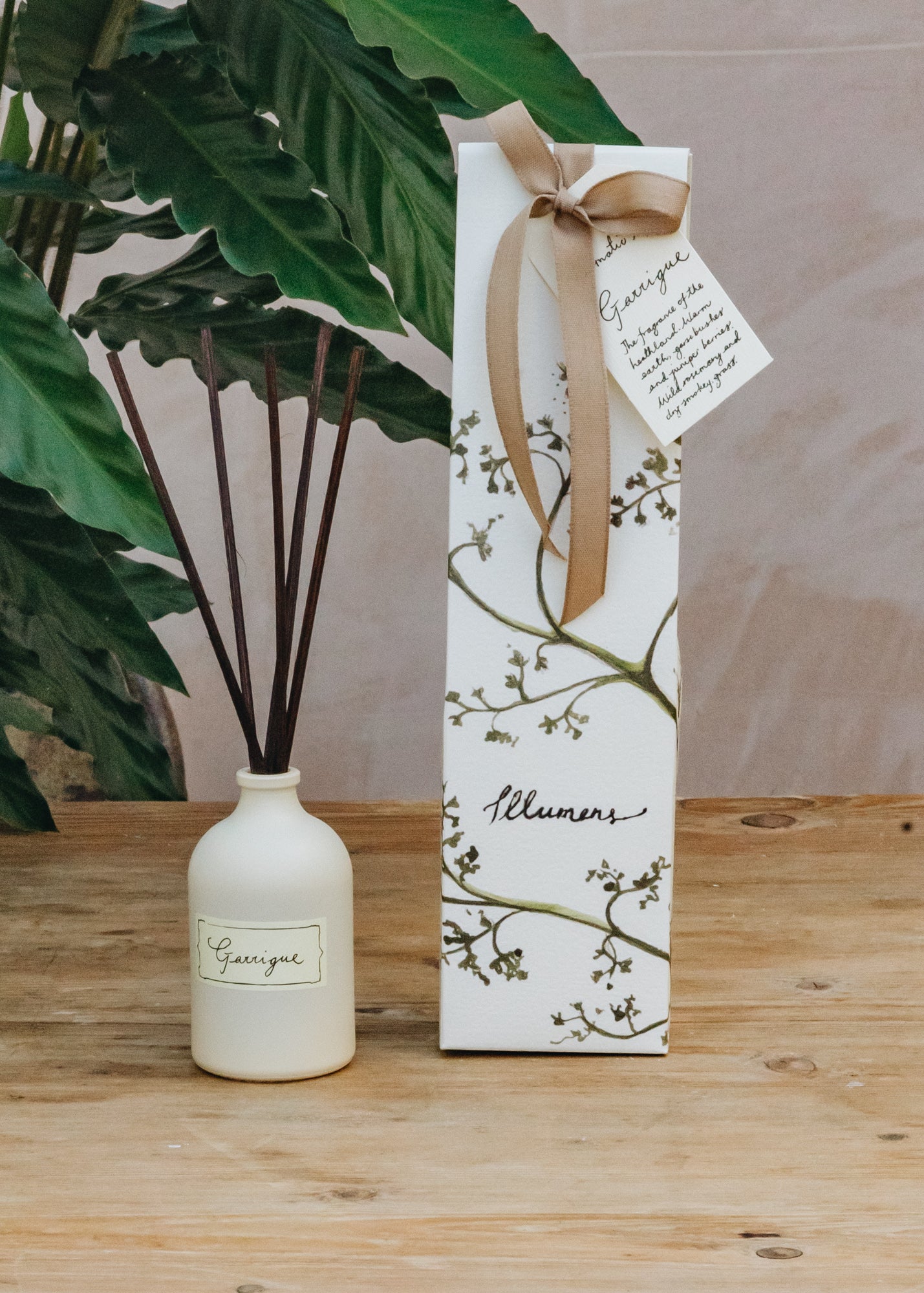 Garrigue Reed Diffuser, 100ml