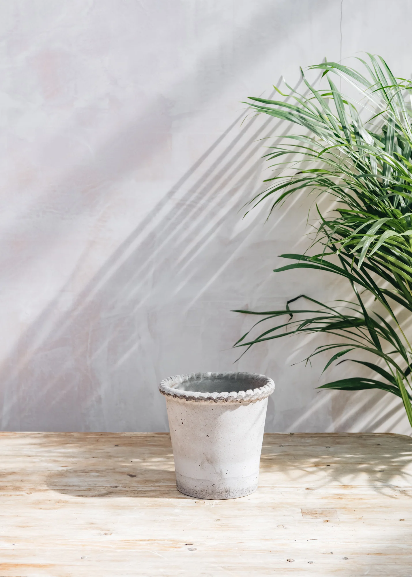 Emilia Grey Pots - Image 3