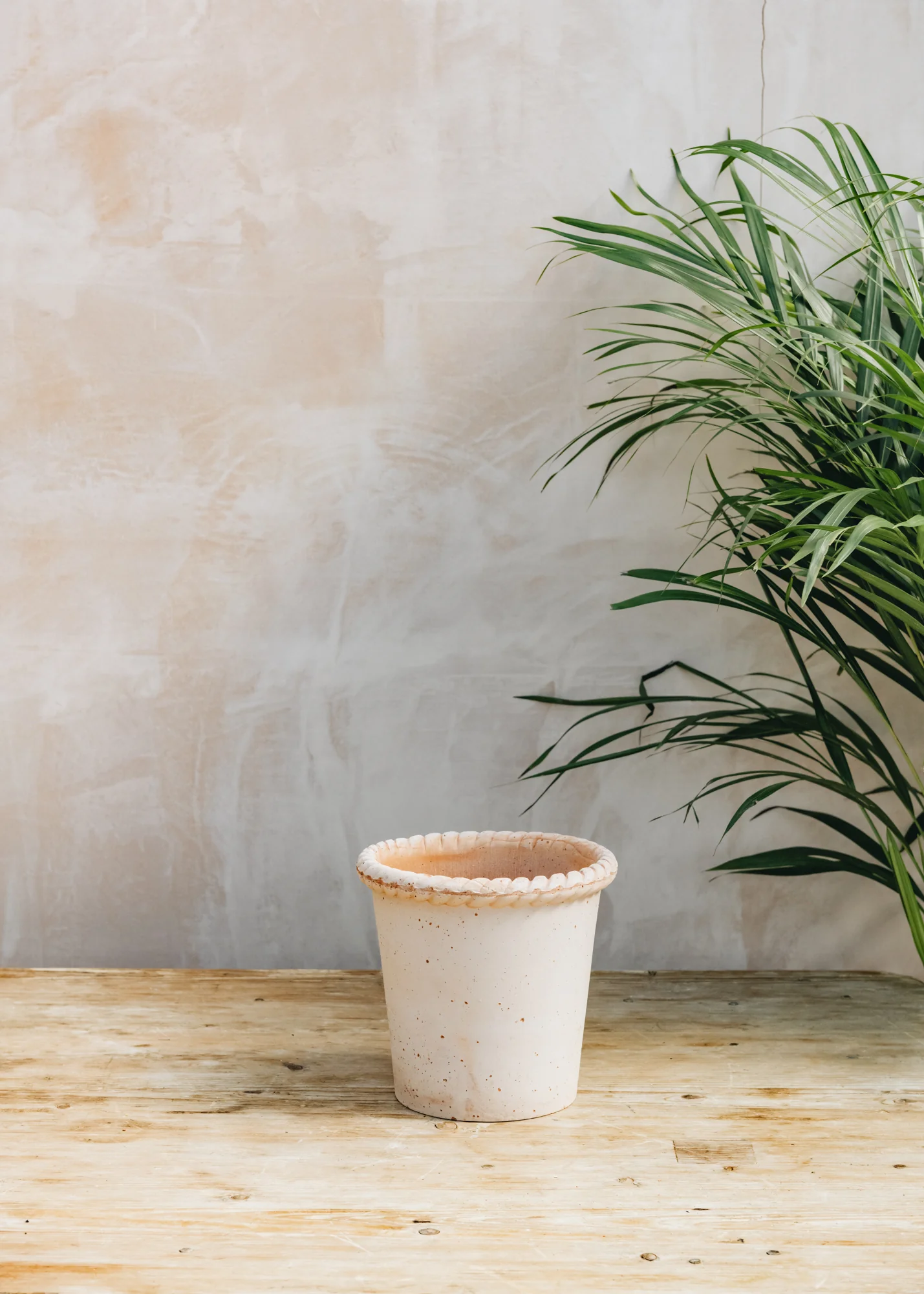 Emilia Rosa Pots - Image 3
