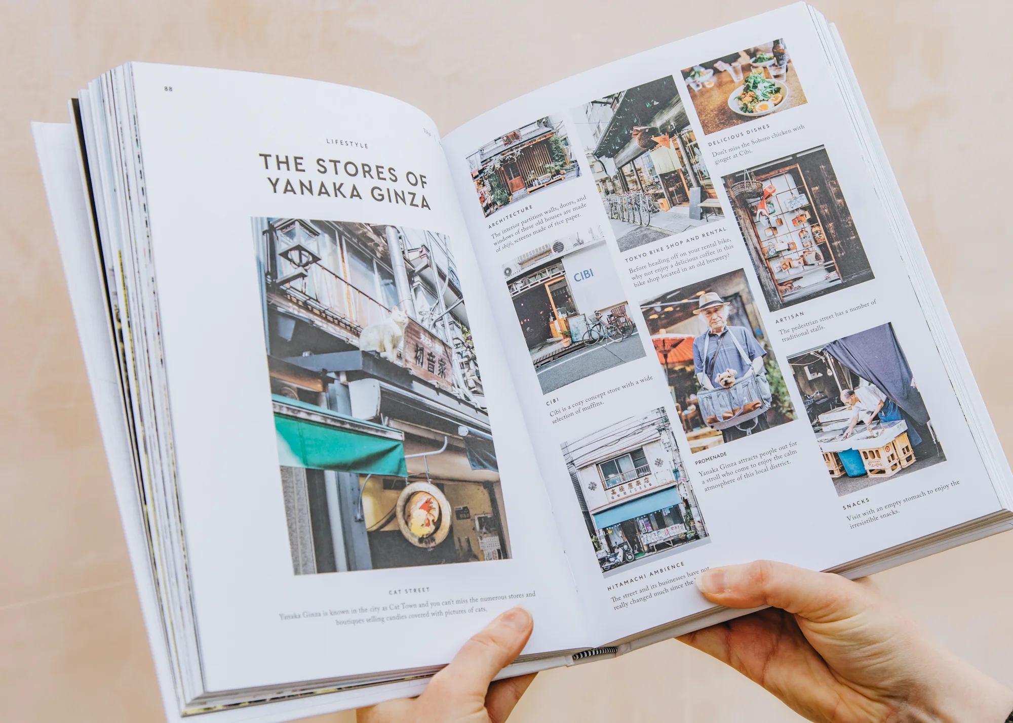 Tokyo: The Extraordinary Guide: An Insider Tour of Art, Food, and Culture - Image 2