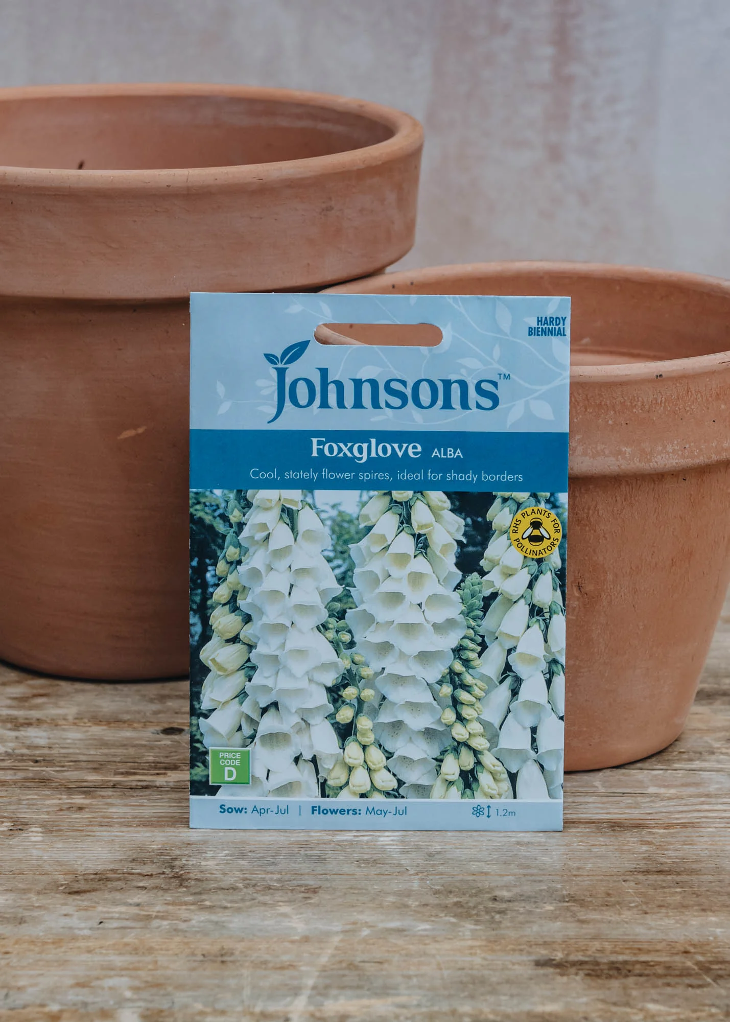 Foxglove Alba Seeds