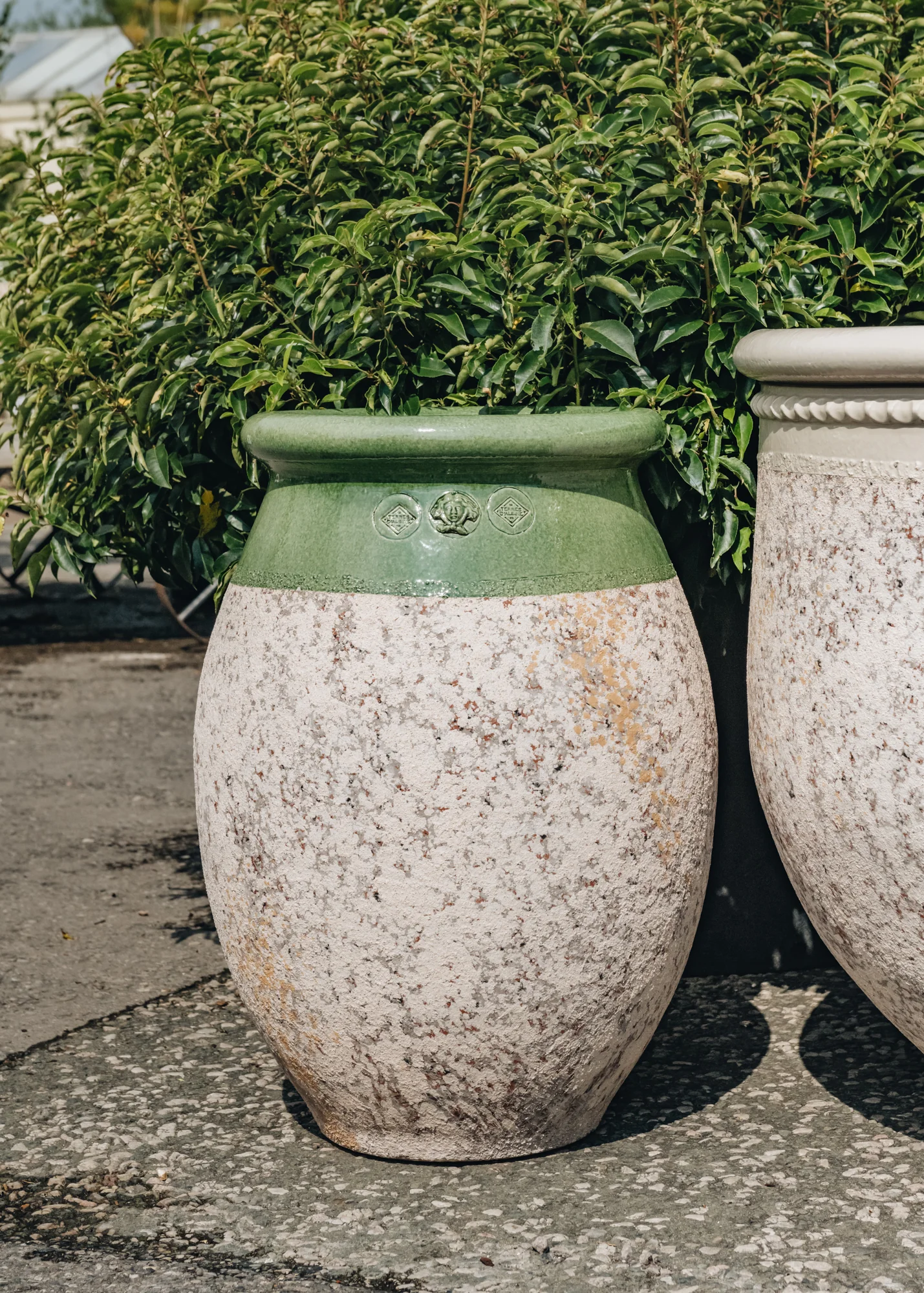 Olive Pot with Green Neck, 70cm