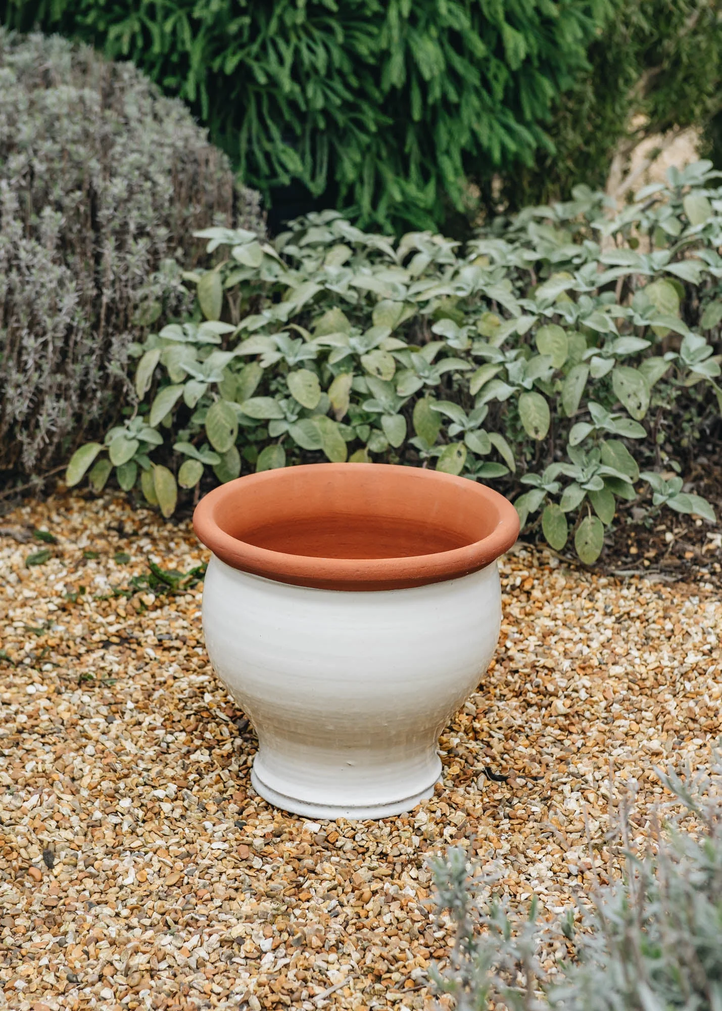 Medium Bellied Planters - Image 2