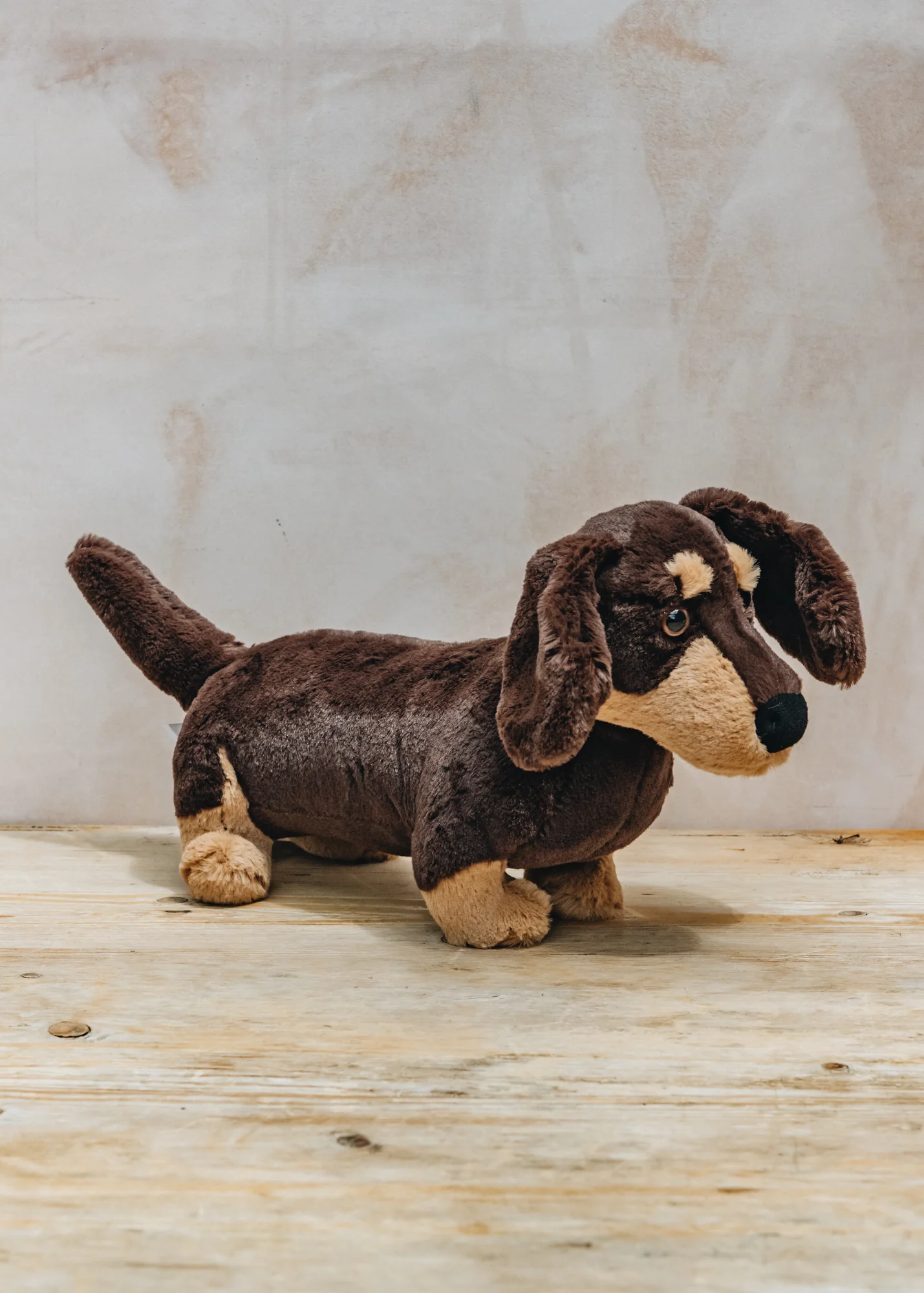 Otto the Sausage Dog