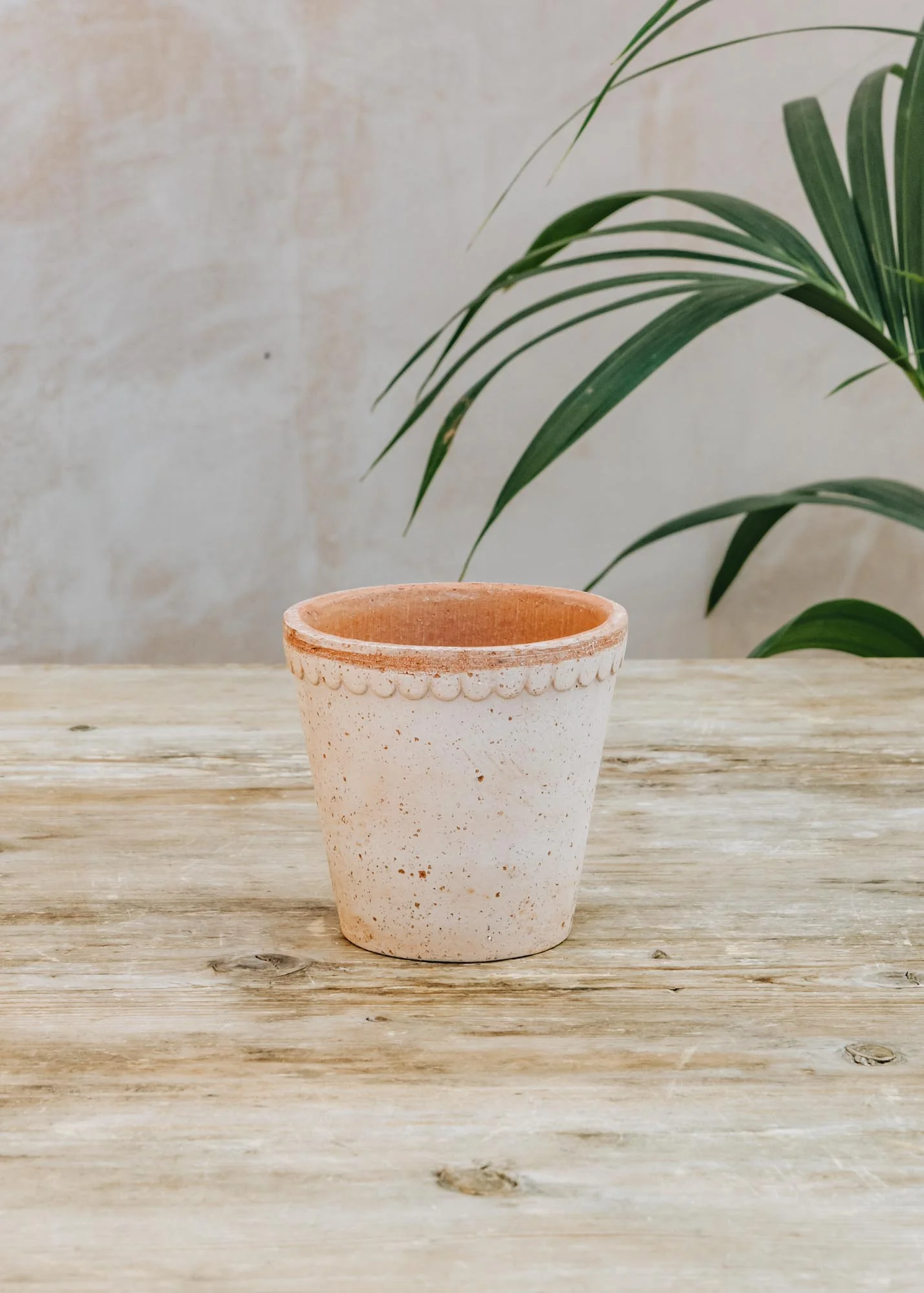Rosa Helena Pots - Image 6