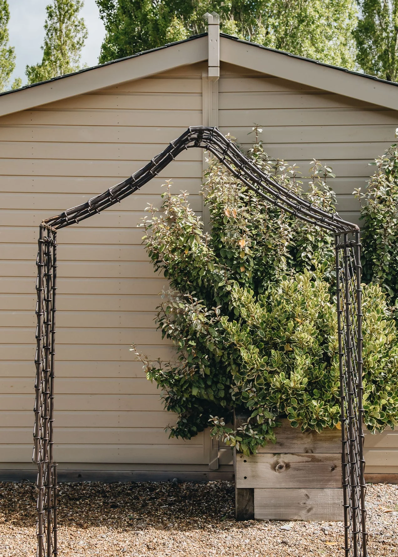 Rustic Rose Arch - Image 3