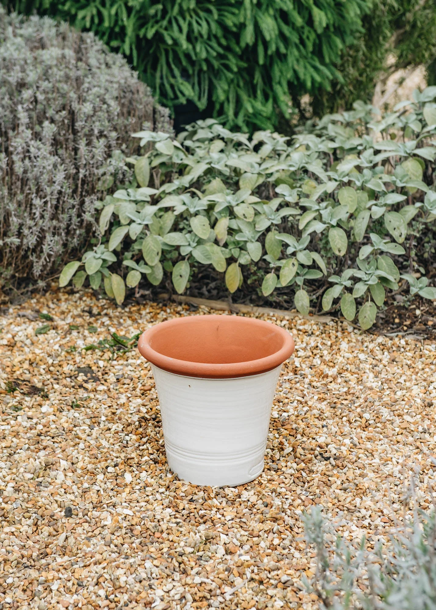 Small Kitchen Planters - Image 2