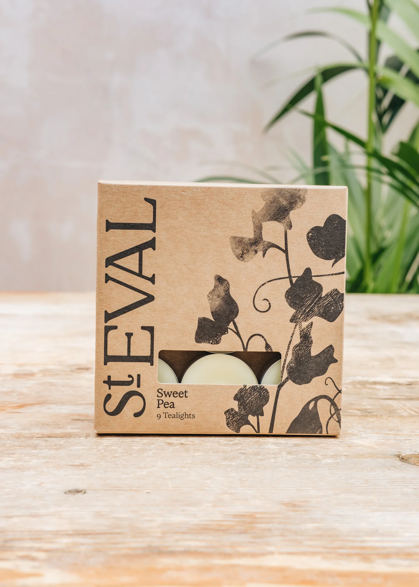 Sweet Pea Tealight Candles
